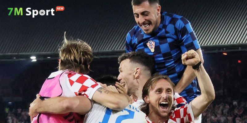 7M được cấp giấy phép bởi các tổ chức danh tiếng trong ngành