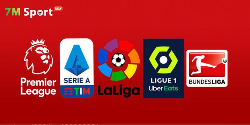 Bạn có thể tìm hiểu kết quả theo giải đấu